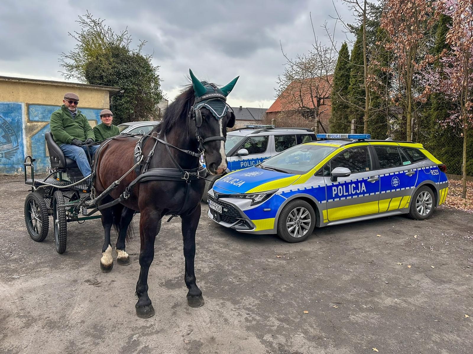 Zdjęcie w galerii na portalu naszraciborz.pl: Seminarium o obecności koni w przestrzeni publicznej: bezpieczeństwo, służby mundurowe i jeździectwo wiadomości z regionu