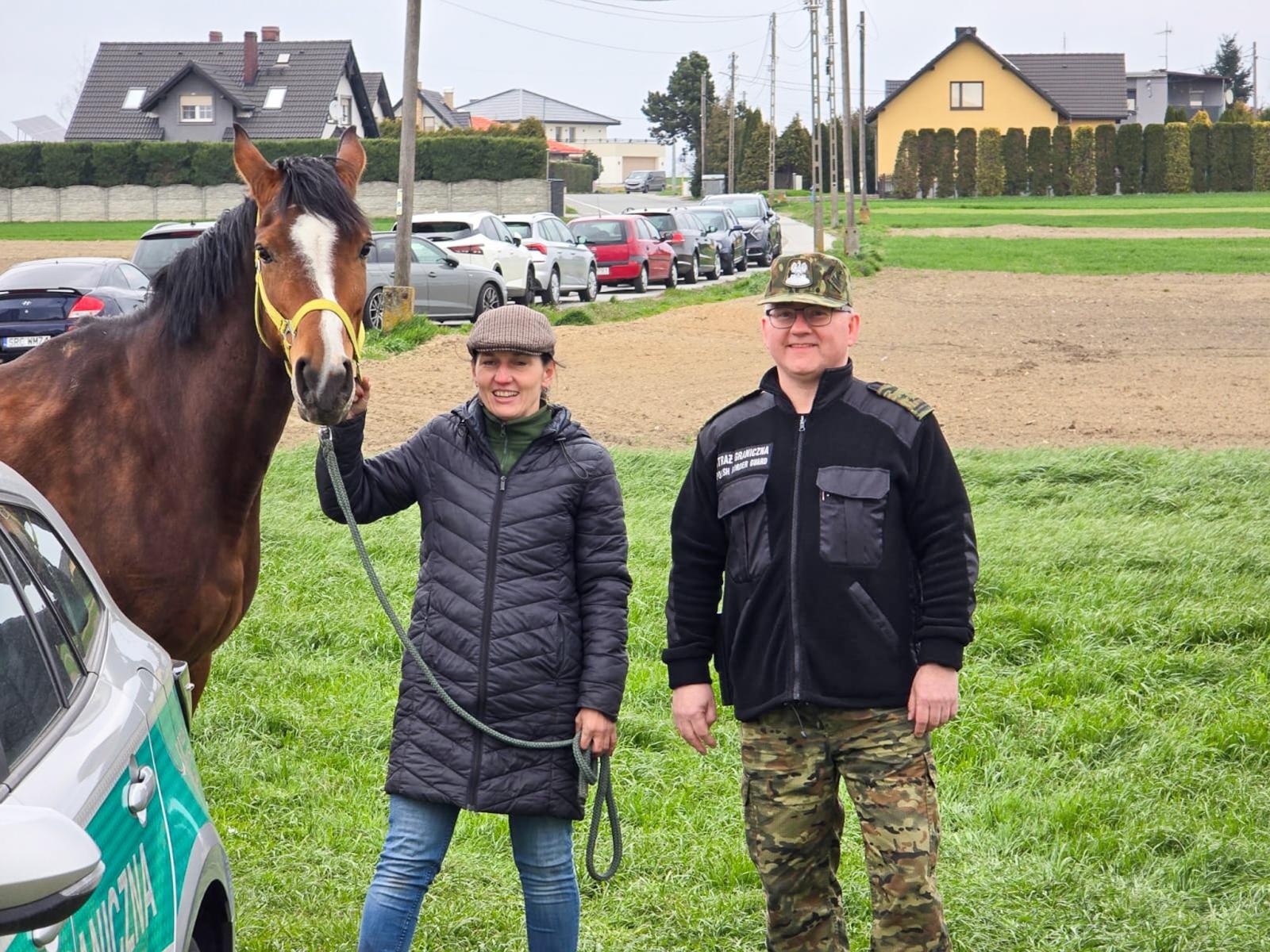 Zdjęcie w galerii na portalu naszraciborz.pl: Seminarium o obecności koni w przestrzeni publicznej: bezpieczeństwo, służby mundurowe i jeździectwo wiadomości z regionu