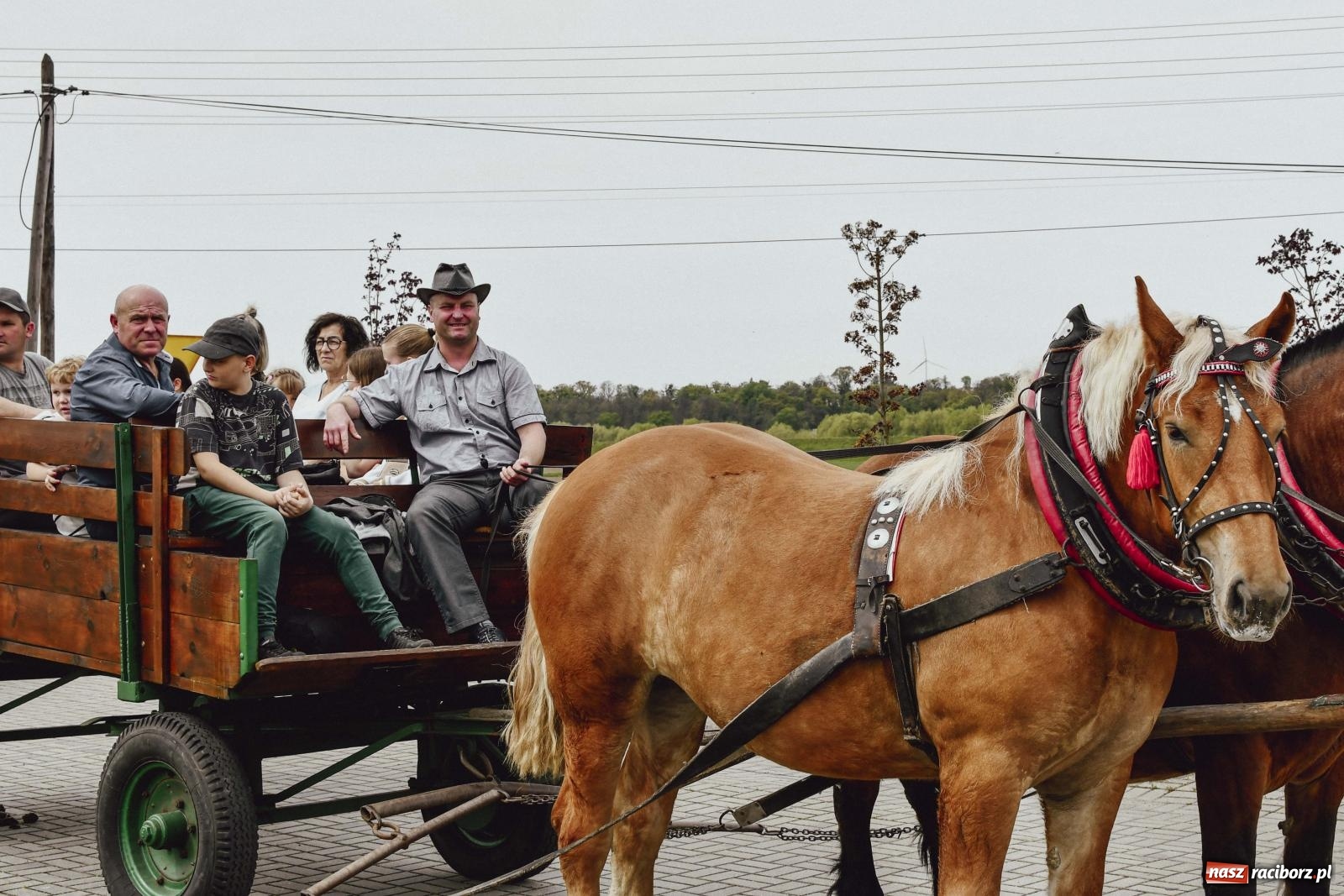 Zdjęcie w galerii na portalu naszraciborz.pl: Z wiarą przez pola – konna procesja wielkanocna w Zawadzie Książęcej [FOTO i WIDEO] wiadomości z regionu