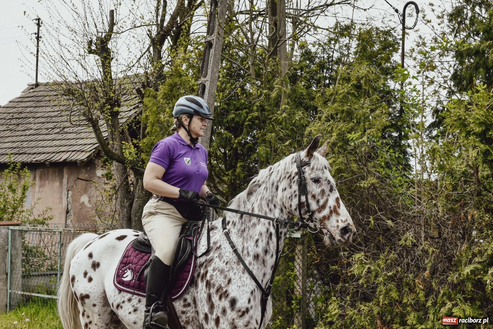 Zdjęcie w galerii na portalu naszraciborz.pl: Z wiarą przez pola – konna procesja wielkanocna w Zawadzie Książęcej [FOTO i WIDEO] wiadomości z regionu