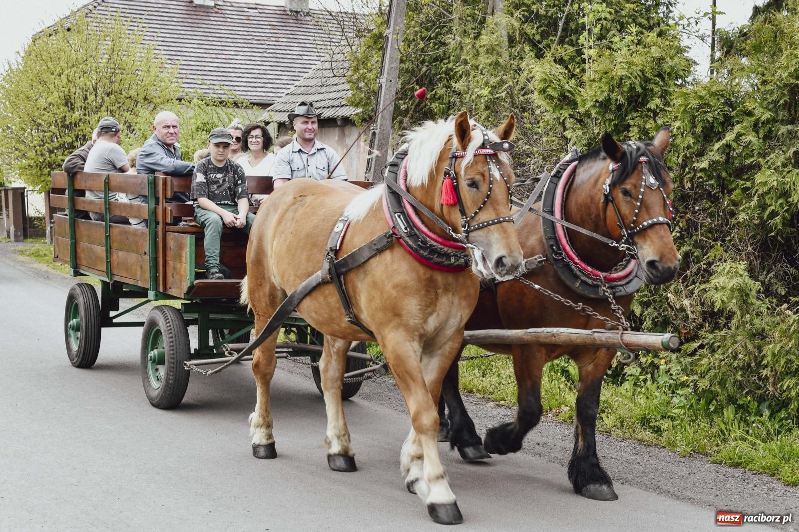Zdjęcie w galerii na portalu naszraciborz.pl: Z wiarą przez pola – konna procesja wielkanocna w Zawadzie Książęcej [FOTO i WIDEO] wiadomości z regionu