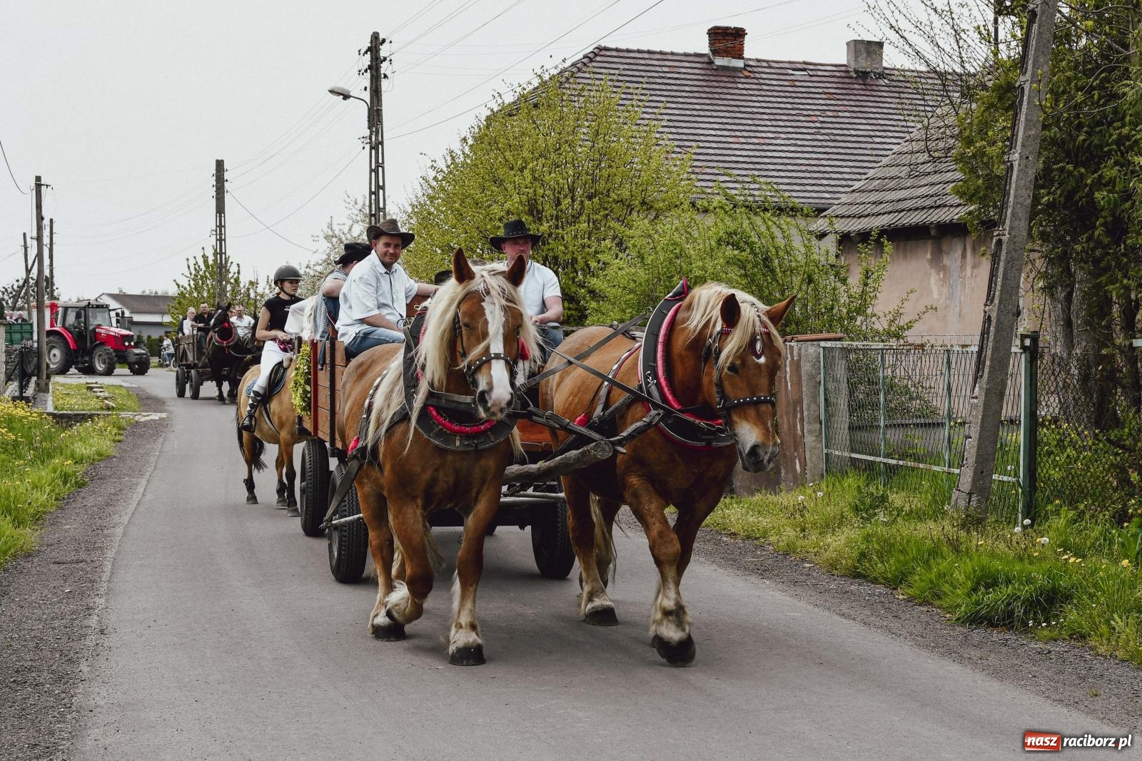Zdjęcie w galerii na portalu naszraciborz.pl: Z wiarą przez pola – konna procesja wielkanocna w Zawadzie Książęcej [FOTO i WIDEO] wiadomości z regionu