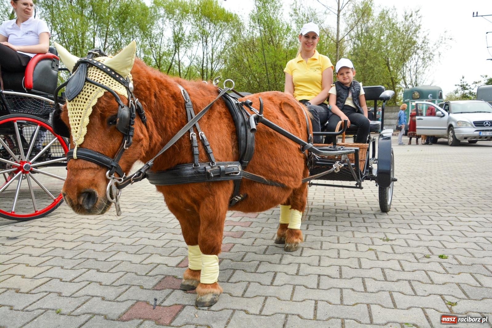 Zdjęcie w galerii na portalu naszraciborz.pl: Morawskie dziedzictwo, konie i goście honorowi – wielkanocna procesja w Pietrowicach Wielkich [FOTO i WIDEO] wiadomości z regionu