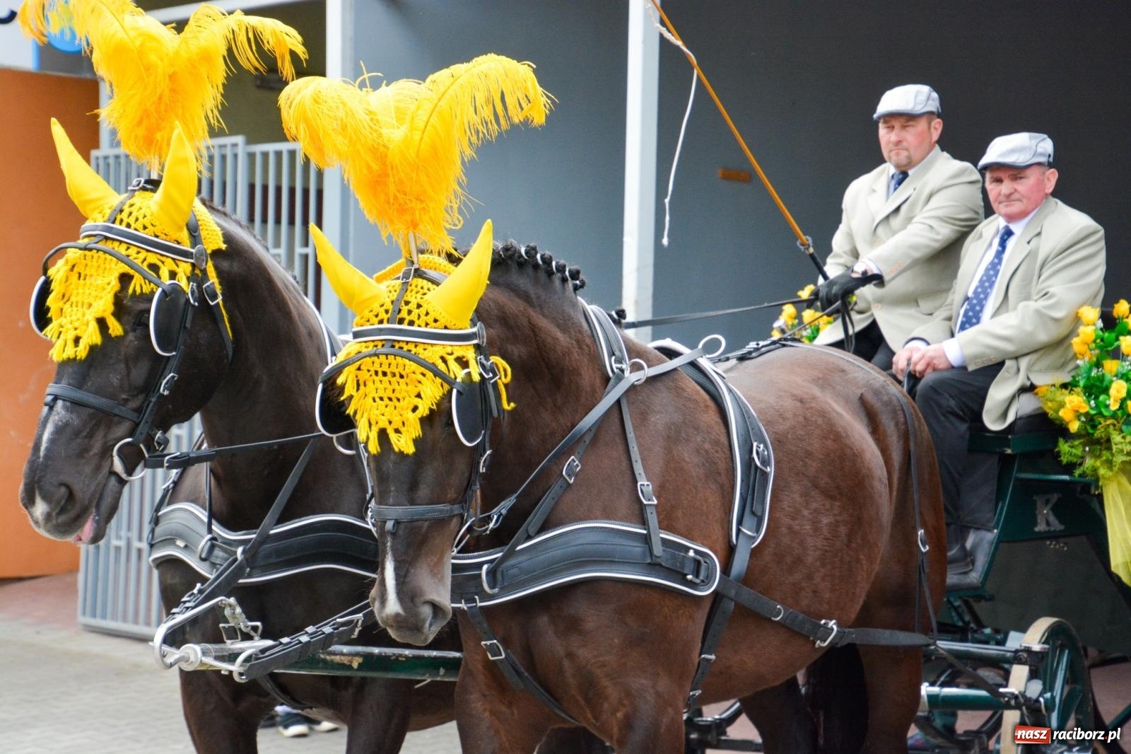 Zdjęcie w galerii na portalu naszraciborz.pl: Morawskie dziedzictwo, konie i goście honorowi – wielkanocna procesja w Pietrowicach Wielkich [FOTO i WIDEO] wiadomości z regionu