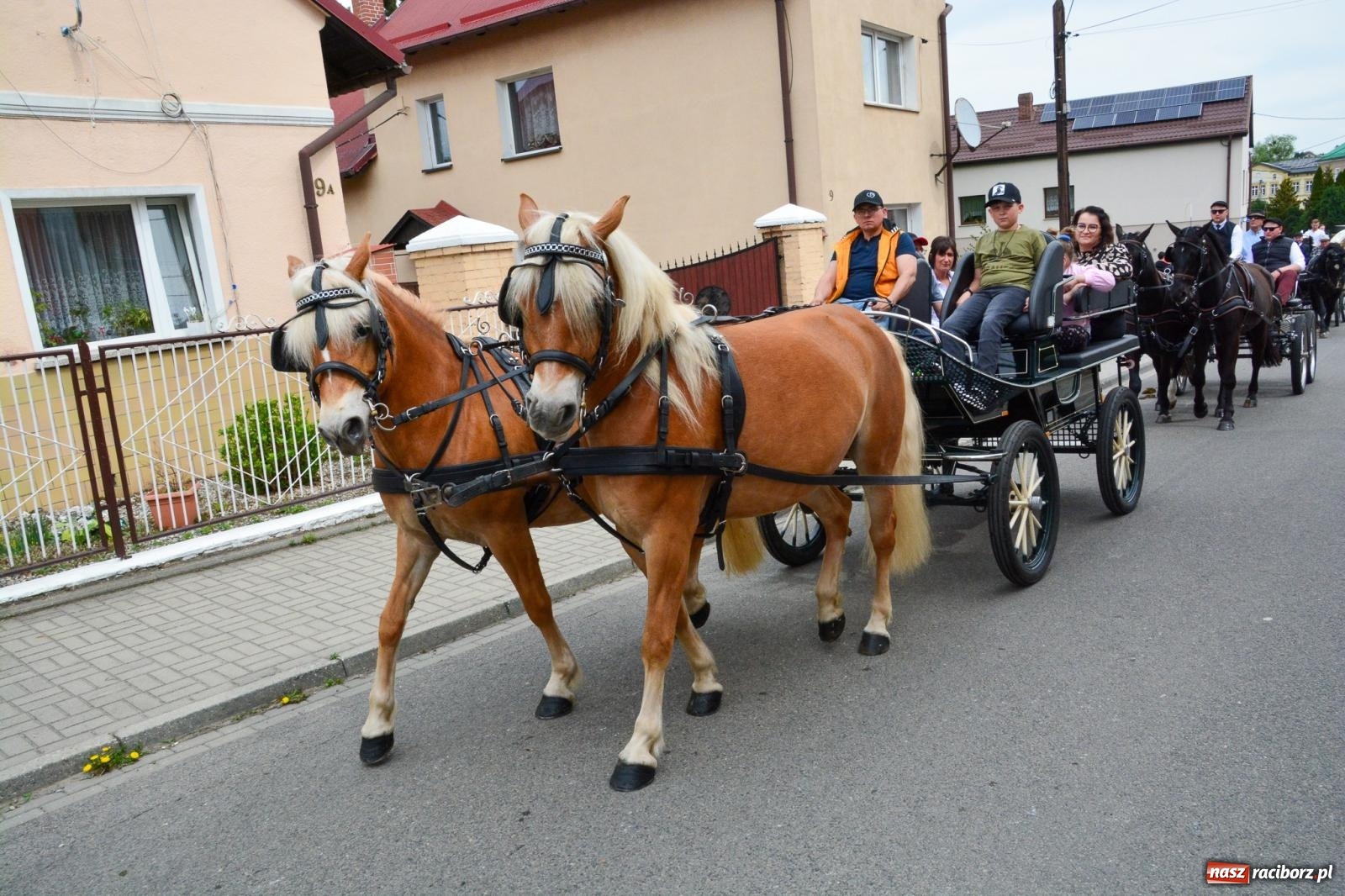 Zdjęcie w galerii na portalu naszraciborz.pl: Morawskie dziedzictwo, konie i goście honorowi – wielkanocna procesja w Pietrowicach Wielkich [FOTO i WIDEO] wiadomości z regionu