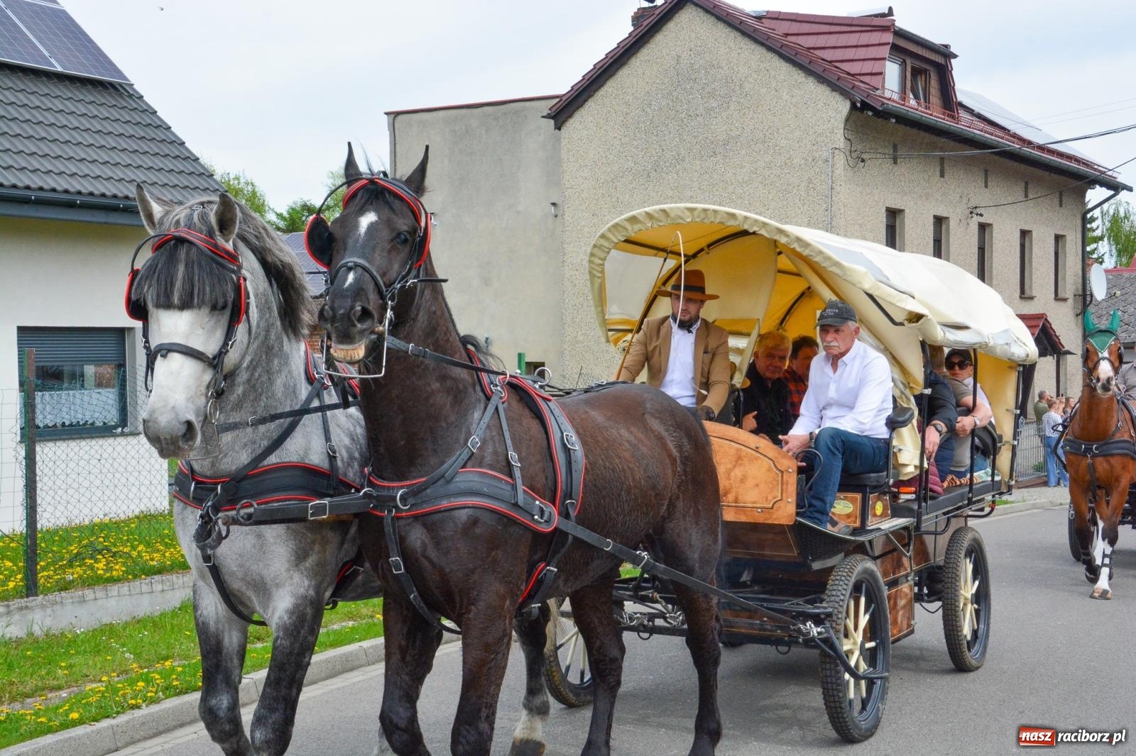 Zdjęcie w galerii na portalu naszraciborz.pl: Morawskie dziedzictwo, konie i goście honorowi – wielkanocna procesja w Pietrowicach Wielkich [FOTO i WIDEO] wiadomości z regionu