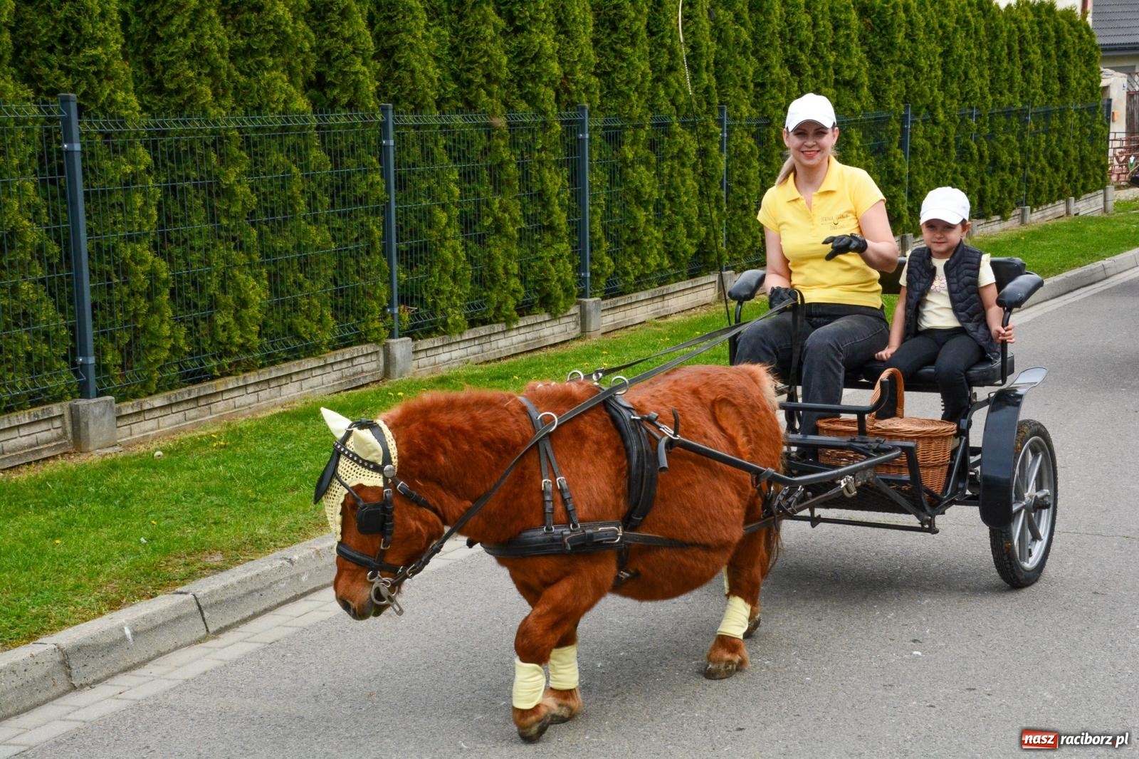 Zdjęcie w galerii na portalu naszraciborz.pl: Morawskie dziedzictwo, konie i goście honorowi – wielkanocna procesja w Pietrowicach Wielkich [FOTO i WIDEO] wiadomości z regionu