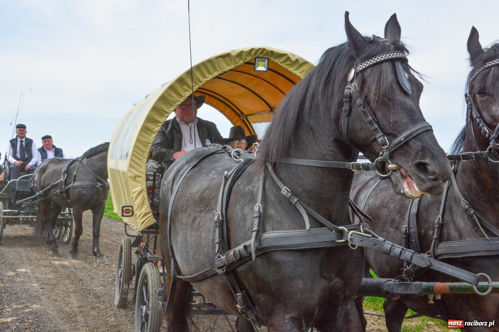 Zdjęcie w galerii na portalu naszraciborz.pl: 117 koni doliczono się podczas wielkanocnej procesji konnej w Bieńkowicach [FOTO i WIDEO] wiadomości z regionu
