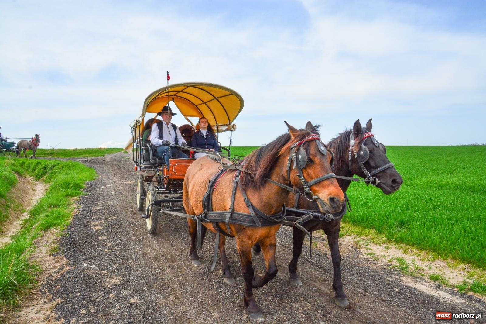 Zdjęcie w galerii na portalu naszraciborz.pl: 117 koni doliczono się podczas wielkanocnej procesji konnej w Bieńkowicach [FOTO i WIDEO] wiadomości z regionu