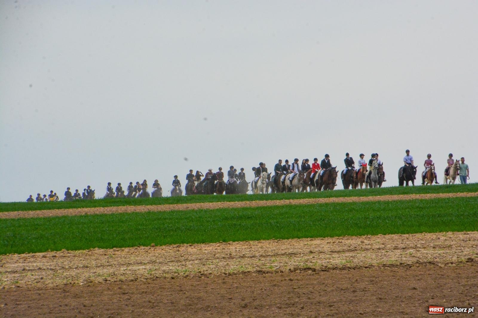Zdjęcie w galerii na portalu naszraciborz.pl: 117 koni doliczono się podczas wielkanocnej procesji konnej w Bieńkowicach [FOTO i WIDEO] wiadomości z regionu