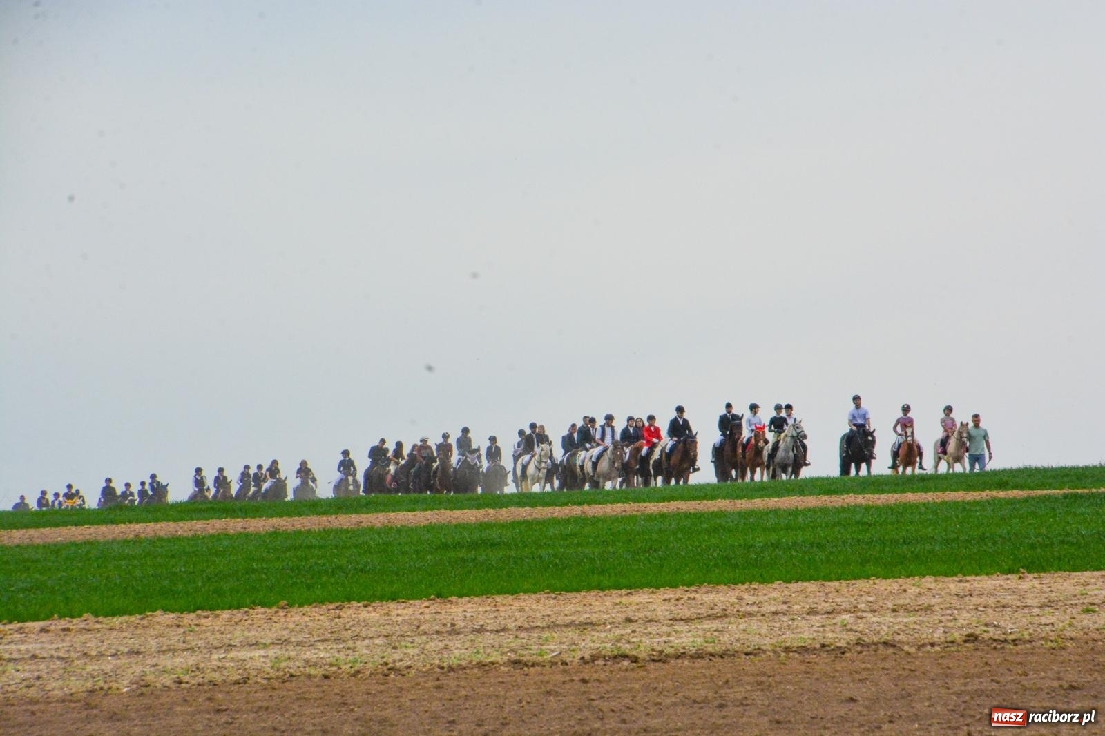 Zdjęcie w galerii na portalu naszraciborz.pl: 117 koni doliczono się podczas wielkanocnej procesji konnej w Bieńkowicach [FOTO i WIDEO] wiadomości z regionu