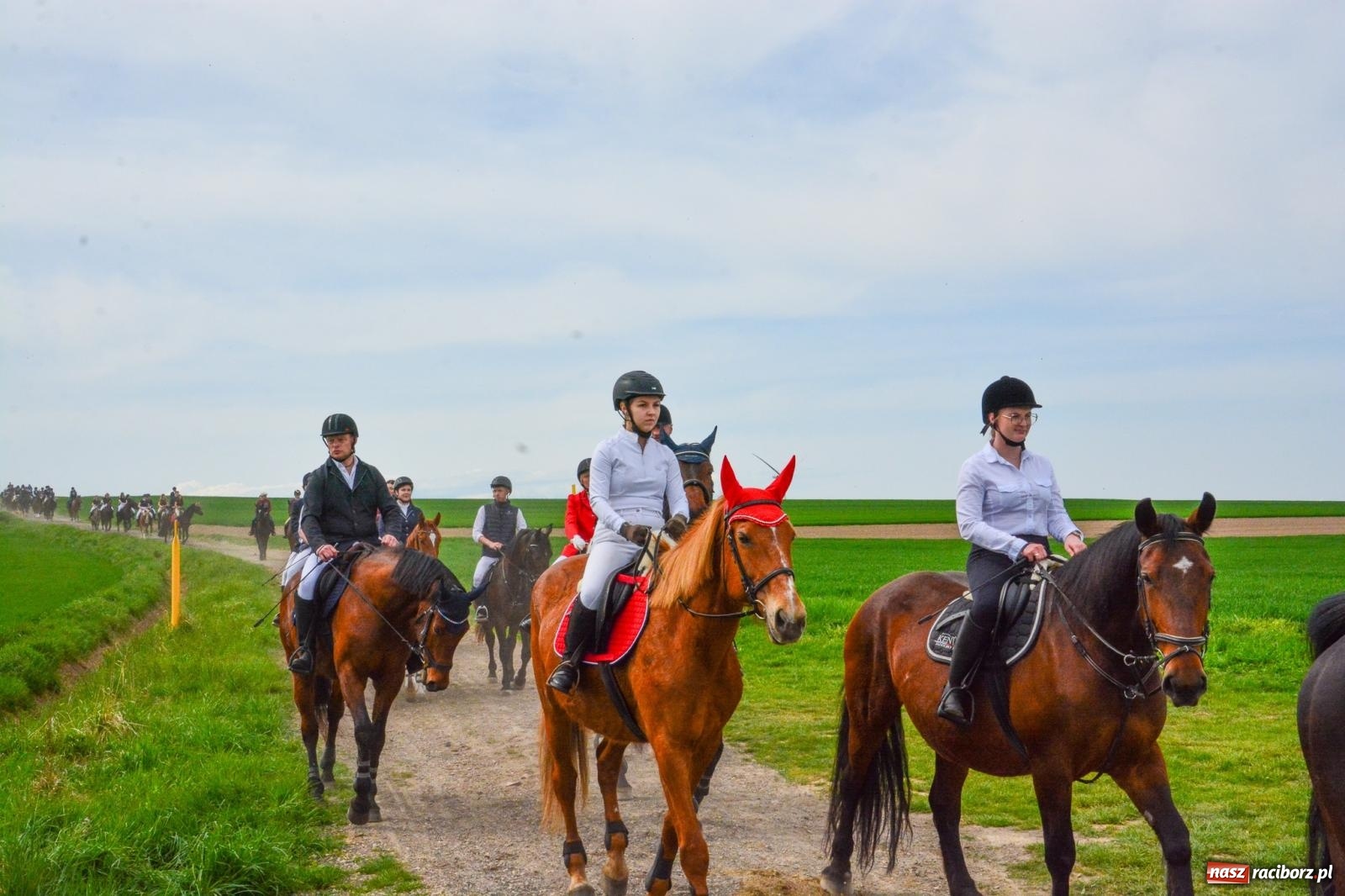 Zdjęcie w galerii na portalu naszraciborz.pl: 117 koni doliczono się podczas wielkanocnej procesji konnej w Bieńkowicach [FOTO i WIDEO] wiadomości z regionu