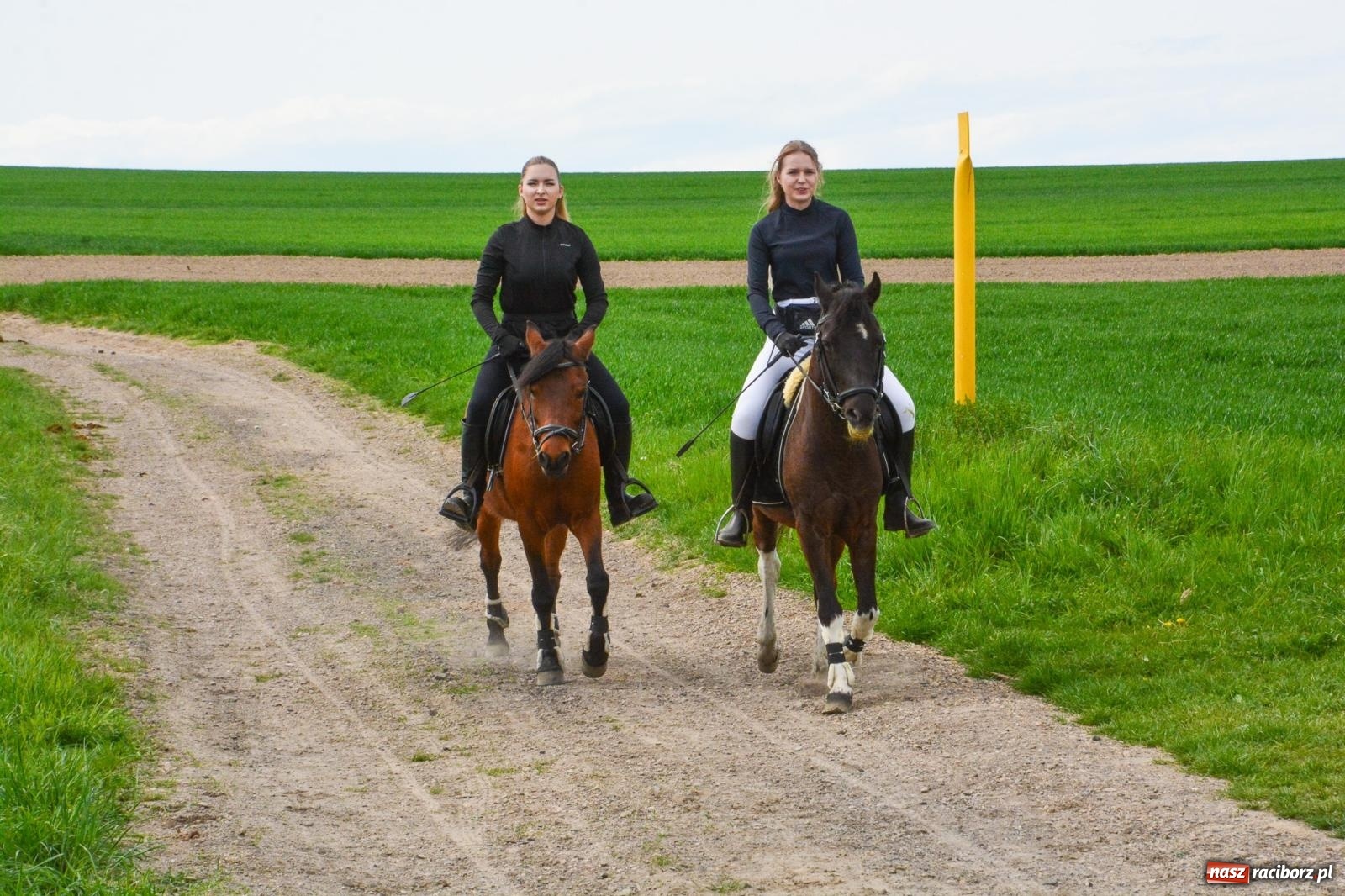 Zdjęcie w galerii na portalu naszraciborz.pl: 117 koni doliczono się podczas wielkanocnej procesji konnej w Bieńkowicach [FOTO i WIDEO] wiadomości z regionu