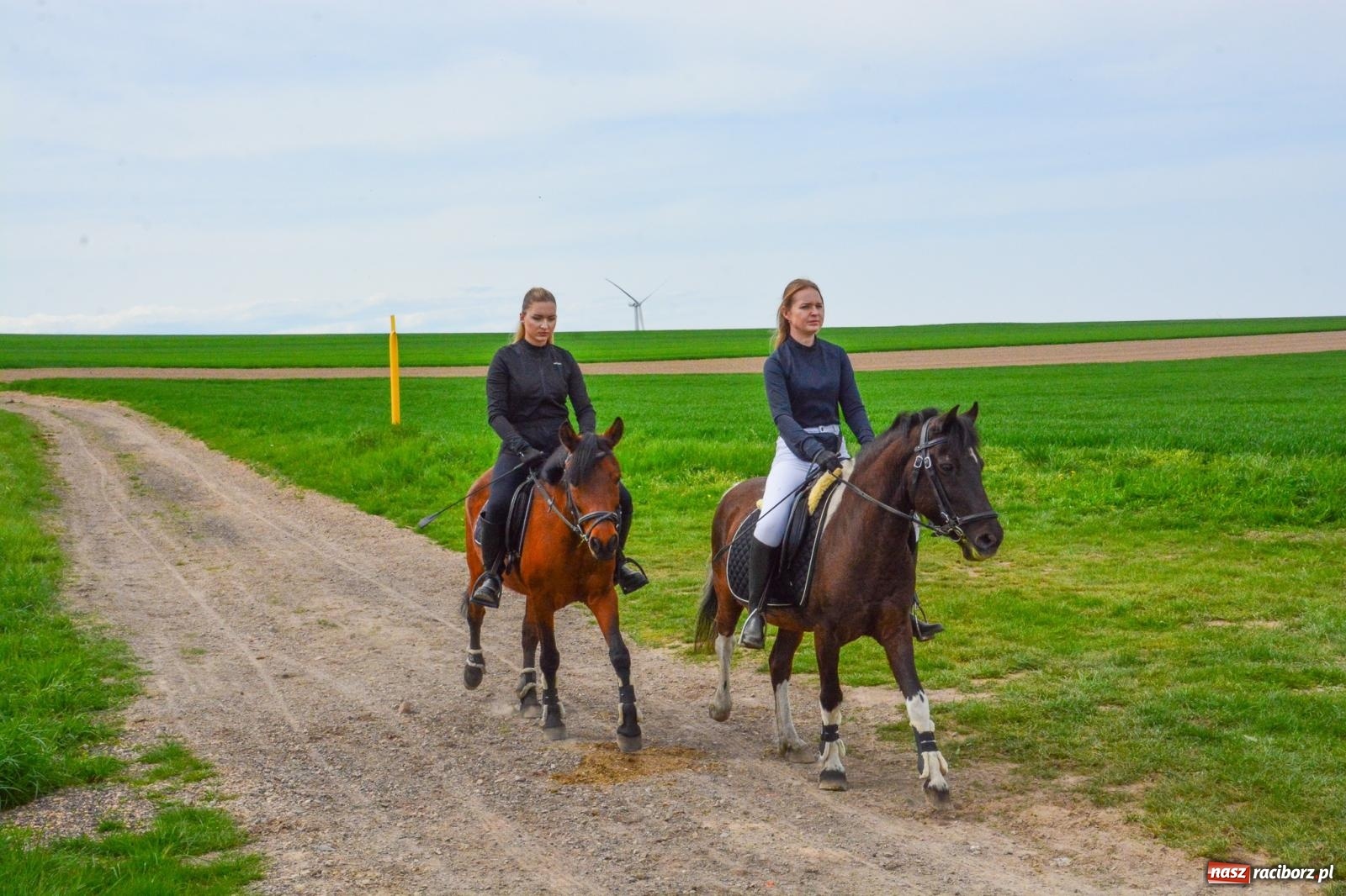 Zdjęcie w galerii na portalu naszraciborz.pl: 117 koni doliczono się podczas wielkanocnej procesji konnej w Bieńkowicach [FOTO i WIDEO] wiadomości z regionu