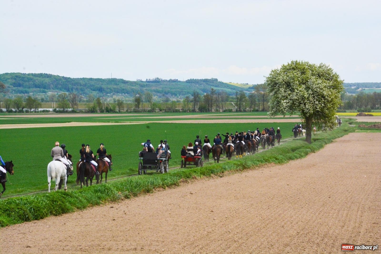 Zdjęcie w galerii na portalu naszraciborz.pl: 117 koni doliczono się podczas wielkanocnej procesji konnej w Bieńkowicach [FOTO i WIDEO] wiadomości z regionu