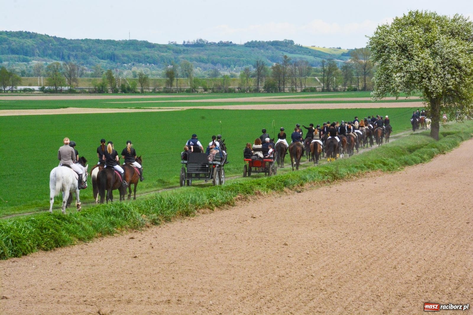 Zdjęcie w galerii na portalu naszraciborz.pl: 117 koni doliczono się podczas wielkanocnej procesji konnej w Bieńkowicach [FOTO i WIDEO] wiadomości z regionu
