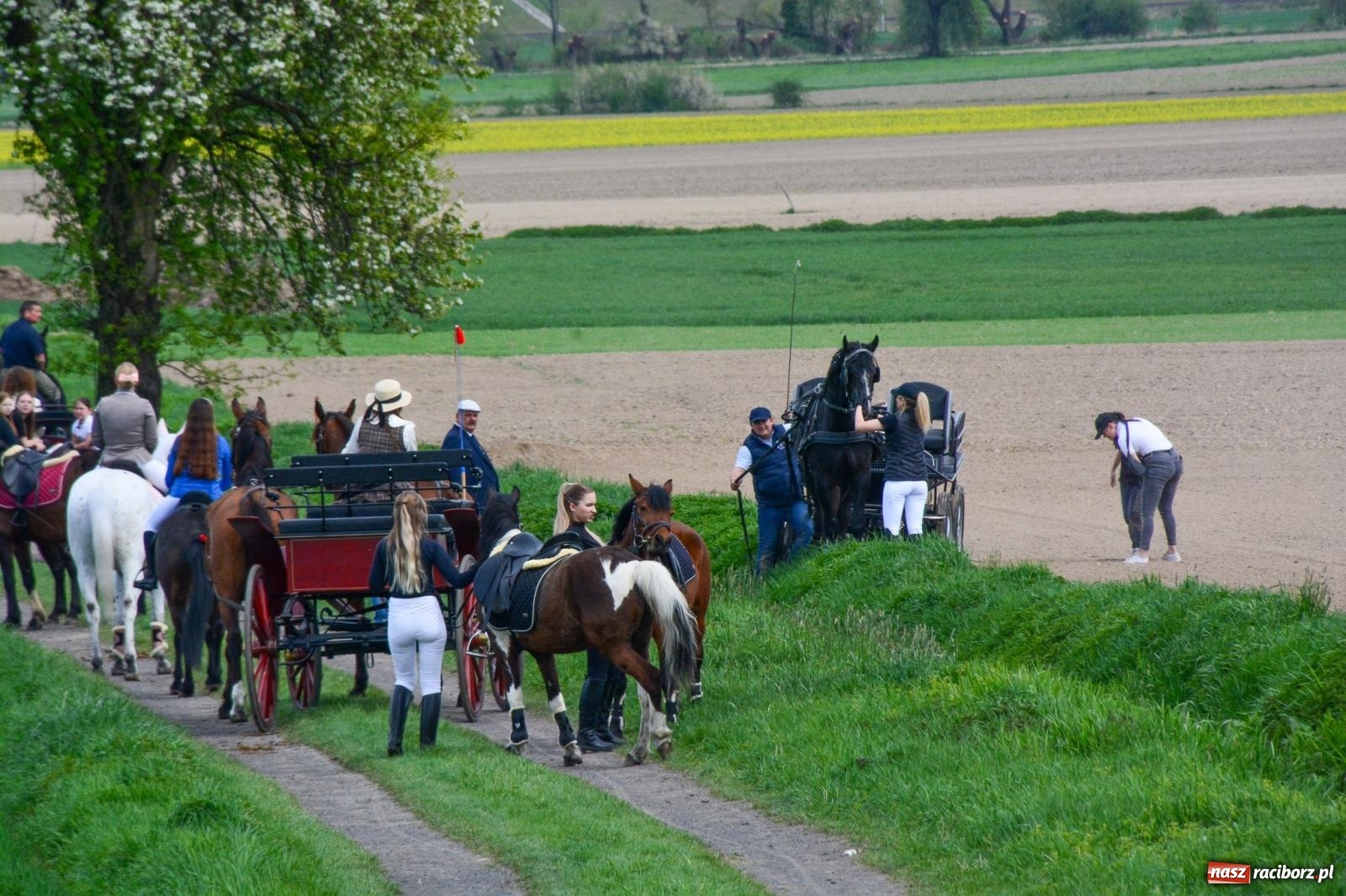 Zdjęcie w galerii na portalu naszraciborz.pl: 117 koni doliczono się podczas wielkanocnej procesji konnej w Bieńkowicach [FOTO i WIDEO] wiadomości z regionu