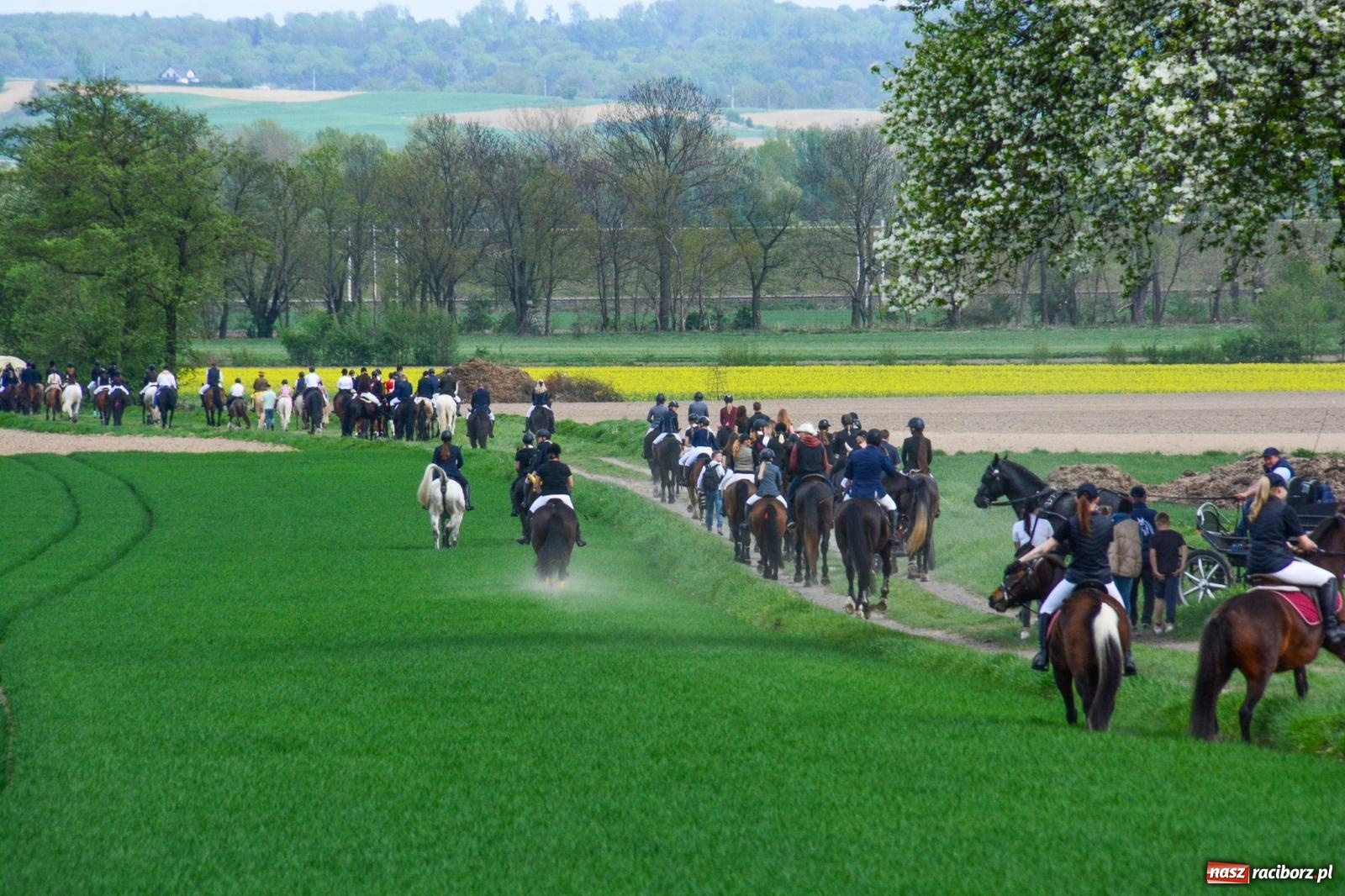 Zdjęcie w galerii na portalu naszraciborz.pl: 117 koni doliczono się podczas wielkanocnej procesji konnej w Bieńkowicach [FOTO i WIDEO] wiadomości z regionu