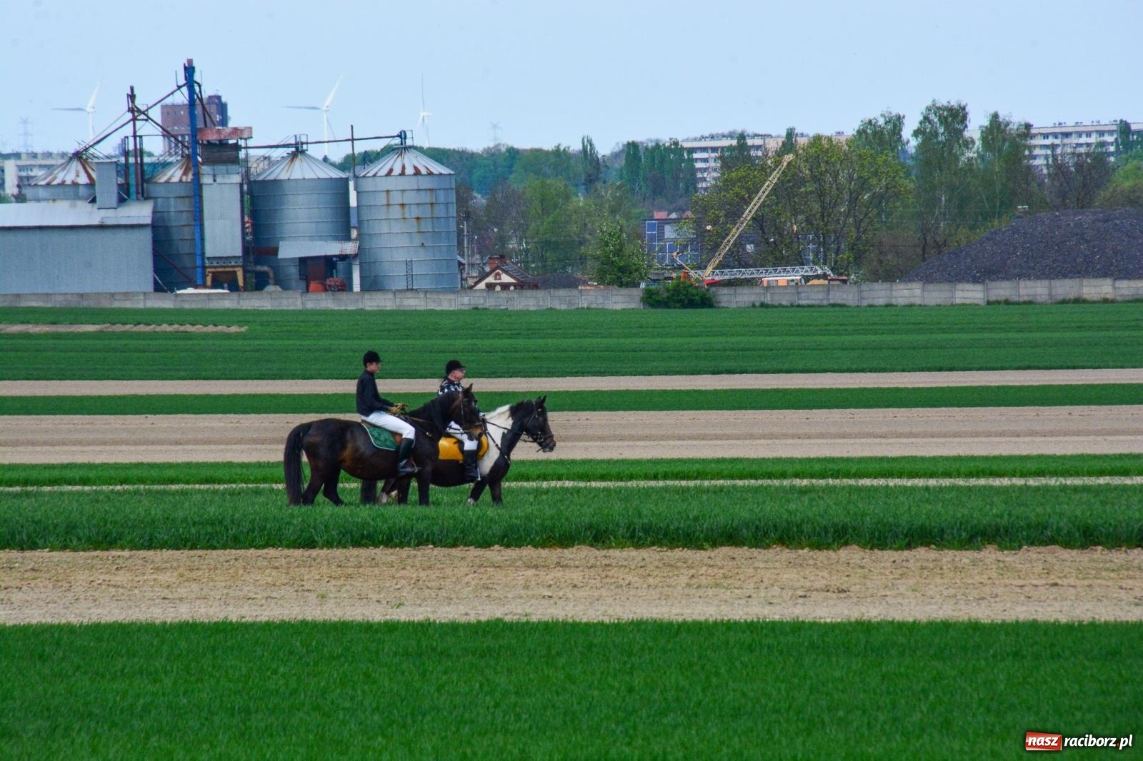 Zdjęcie w galerii na portalu naszraciborz.pl: Procesja konna w Sudole przeszła granicami Raciborza z modlitwą o urodzaj [FOTO i WIDEO] wiadomości z regionu