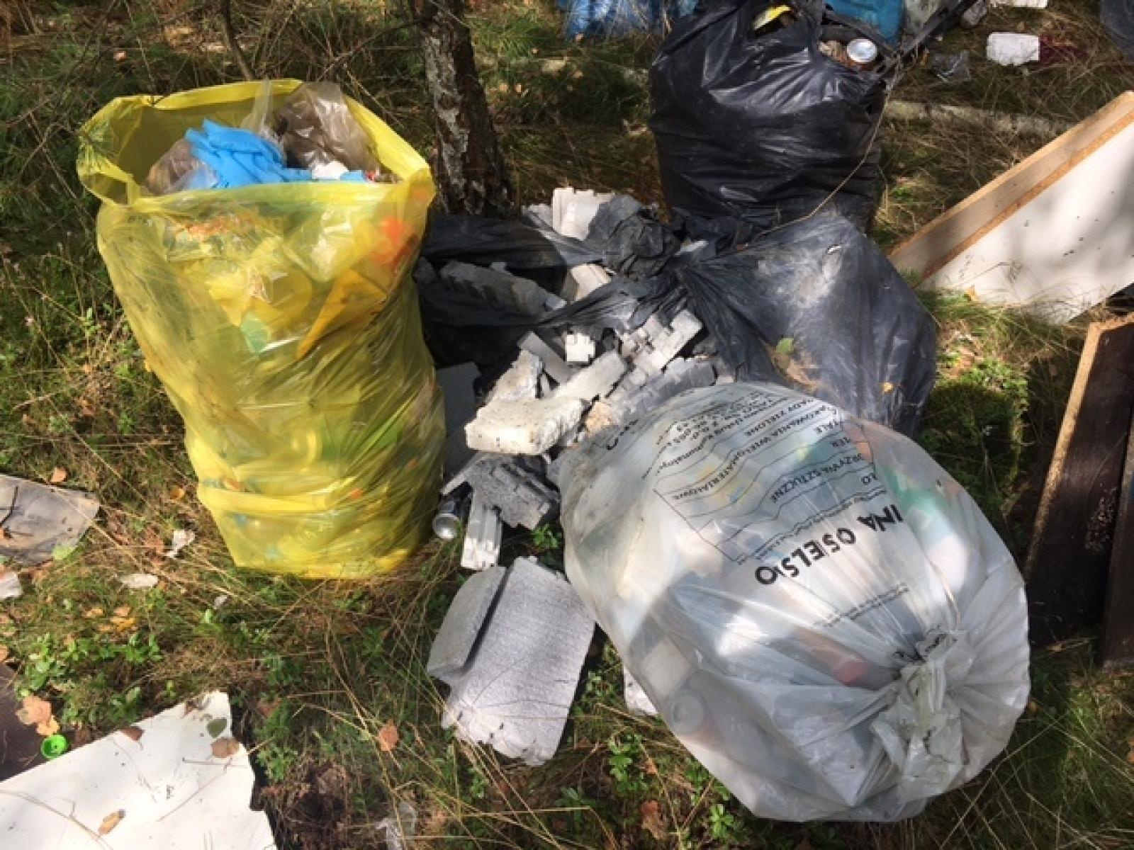 Zdjęcie w galerii na portalu naszraciborz.pl: Śmieci w lasach - niekończąca się opowieść wiadomości z regionu