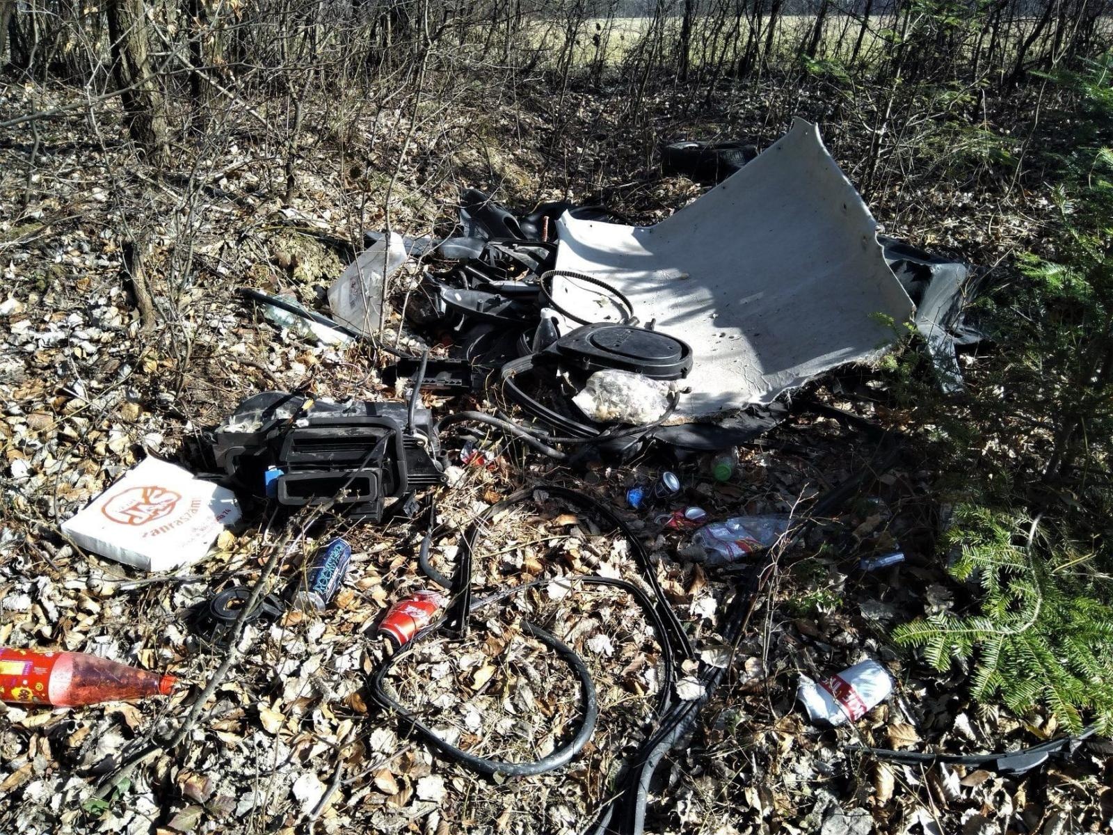 Zdjęcie w galerii na portalu naszraciborz.pl: Śmieci w lasach - niekończąca się opowieść wiadomości z regionu