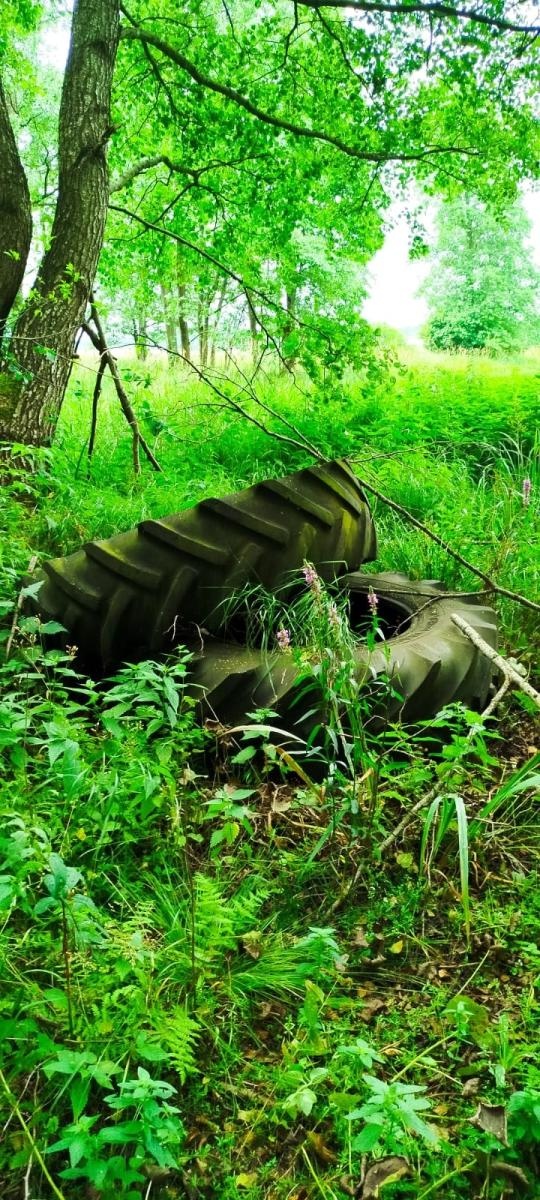 Zdjęcie w galerii na portalu naszraciborz.pl: Śmieci w lasach - niekończąca się opowieść wiadomości z regionu