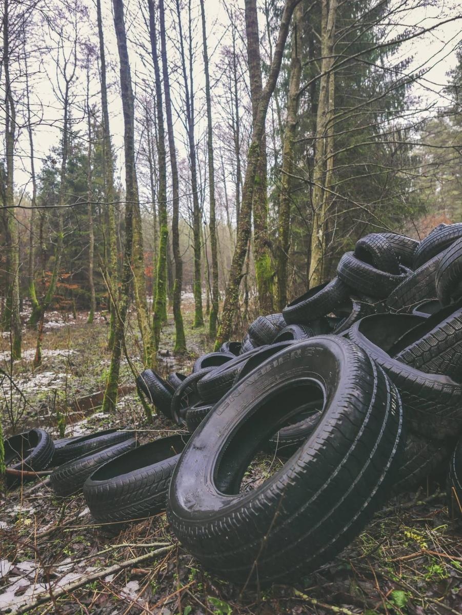 Zdjęcie w galerii na portalu naszraciborz.pl: Śmieci w lasach - niekończąca się opowieść wiadomości z regionu