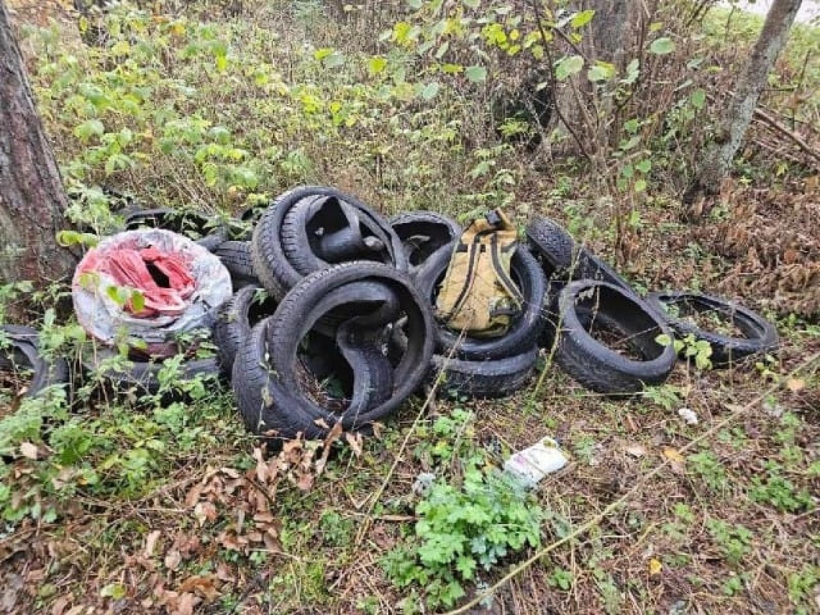 Zdjęcie w galerii na portalu naszraciborz.pl: Śmieci w lasach - niekończąca się opowieść wiadomości z regionu