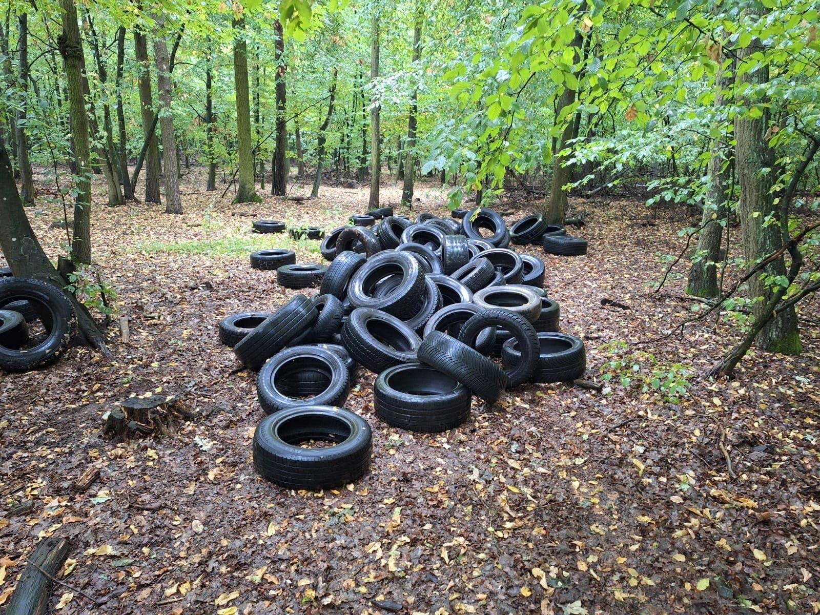 Zdjęcie w galerii na portalu naszraciborz.pl: Śmieci w lasach - niekończąca się opowieść wiadomości z regionu