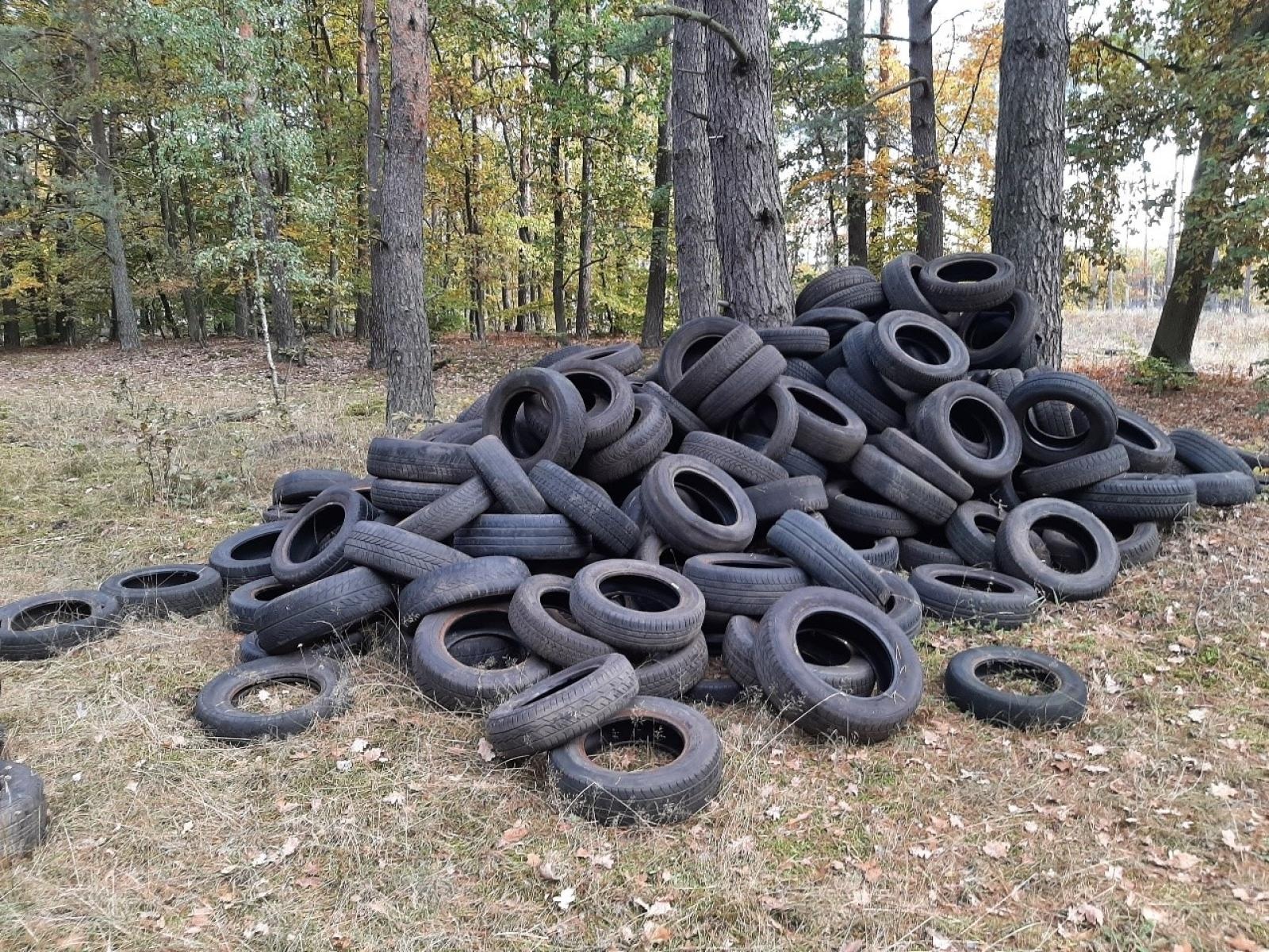 Zdjęcie w galerii na portalu naszraciborz.pl: Śmieci w lasach - niekończąca się opowieść wiadomości z regionu