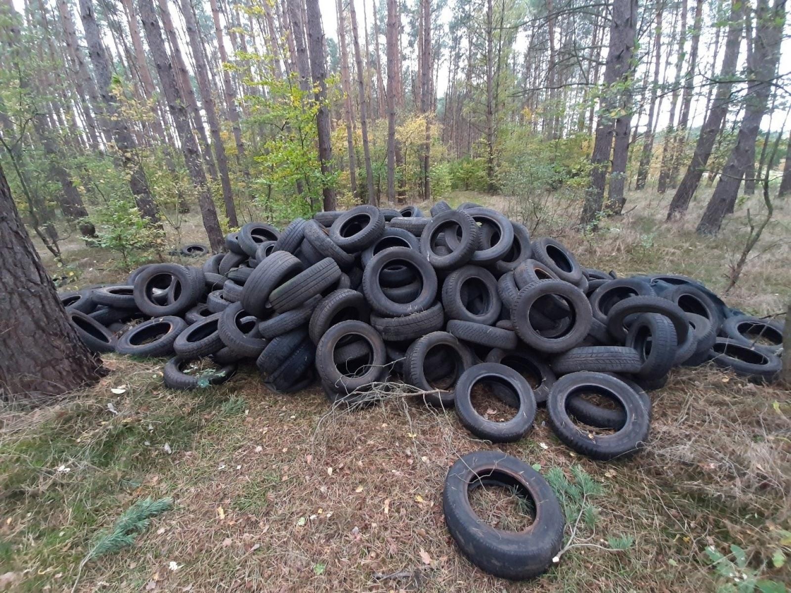 Zdjęcie w galerii na portalu naszraciborz.pl: Śmieci w lasach - niekończąca się opowieść wiadomości z regionu