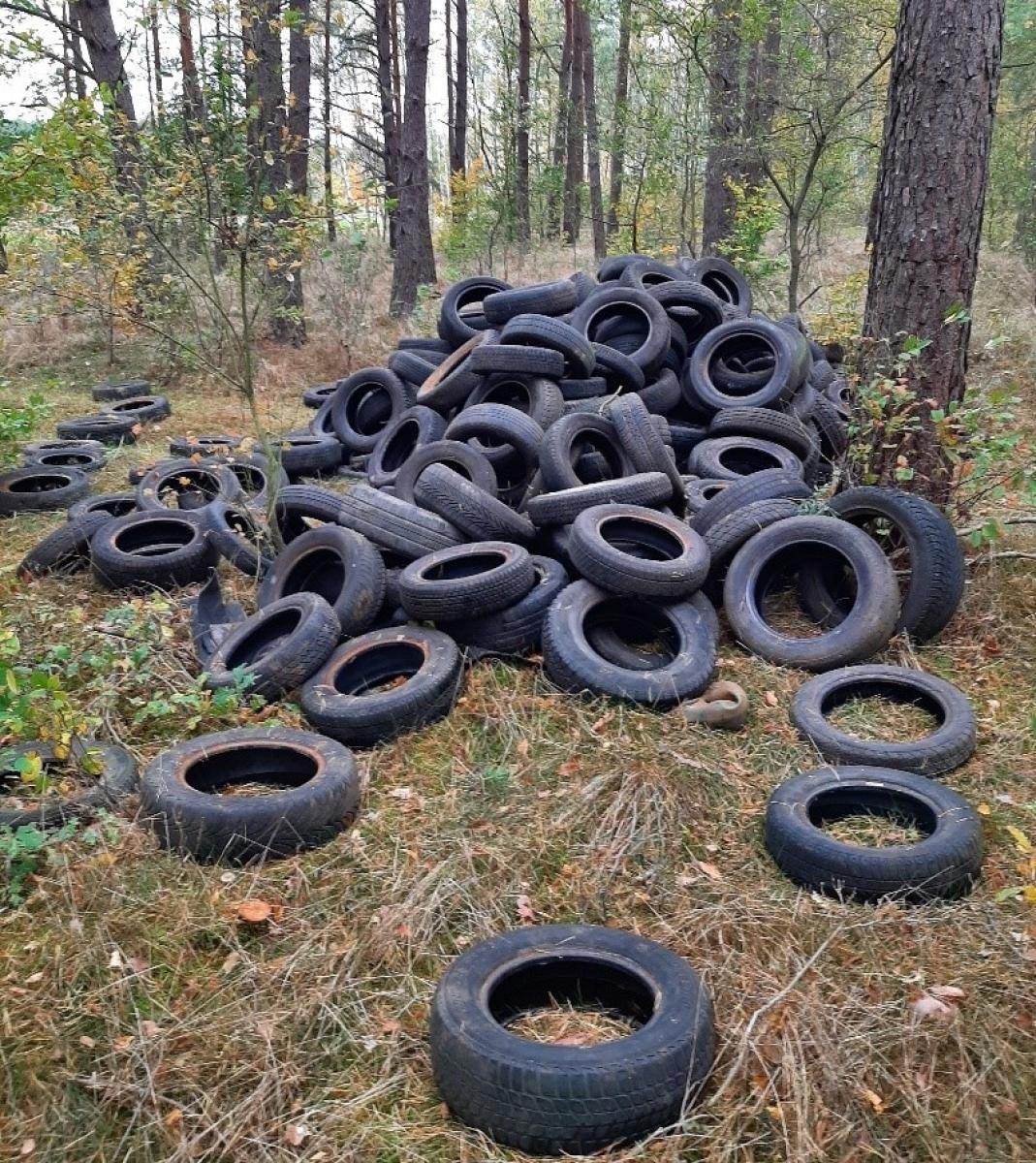Zdjęcie w galerii na portalu naszraciborz.pl: Śmieci w lasach - niekończąca się opowieść wiadomości z regionu