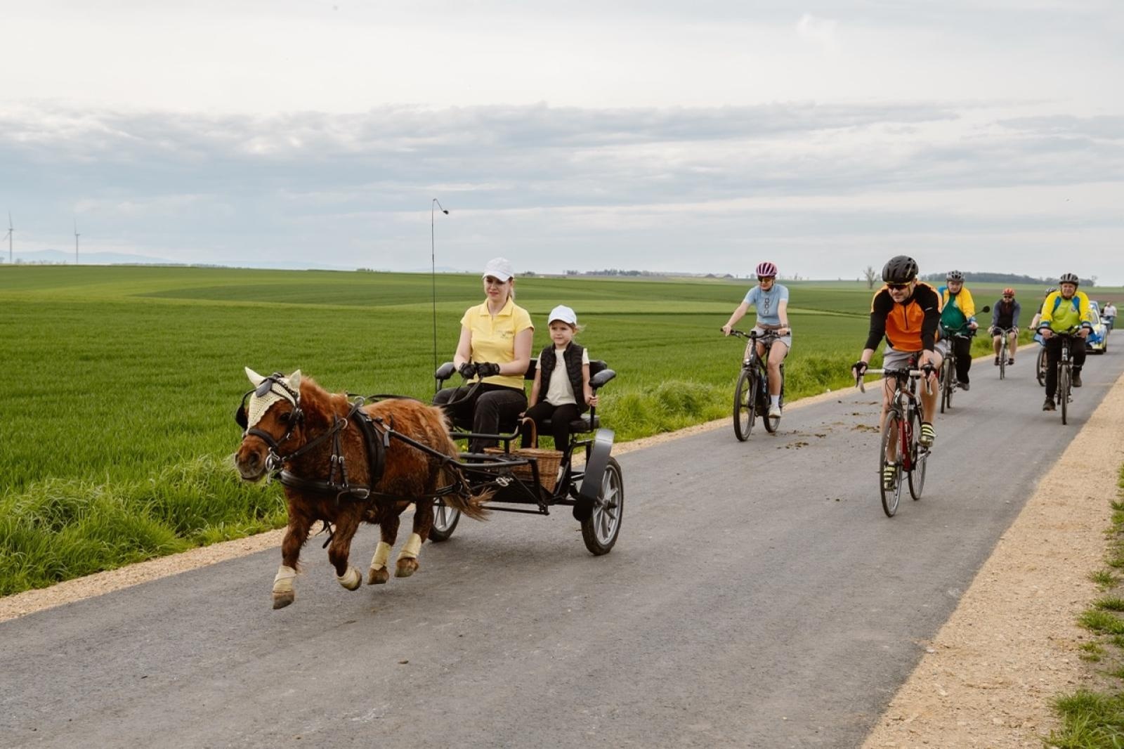 Zdjęcie w galerii na portalu naszraciborz.pl: Tradycyjna pietrowicka procesja wielkanocna na bis. Pielęgnowanie ducha i historii wiadomości z regionu