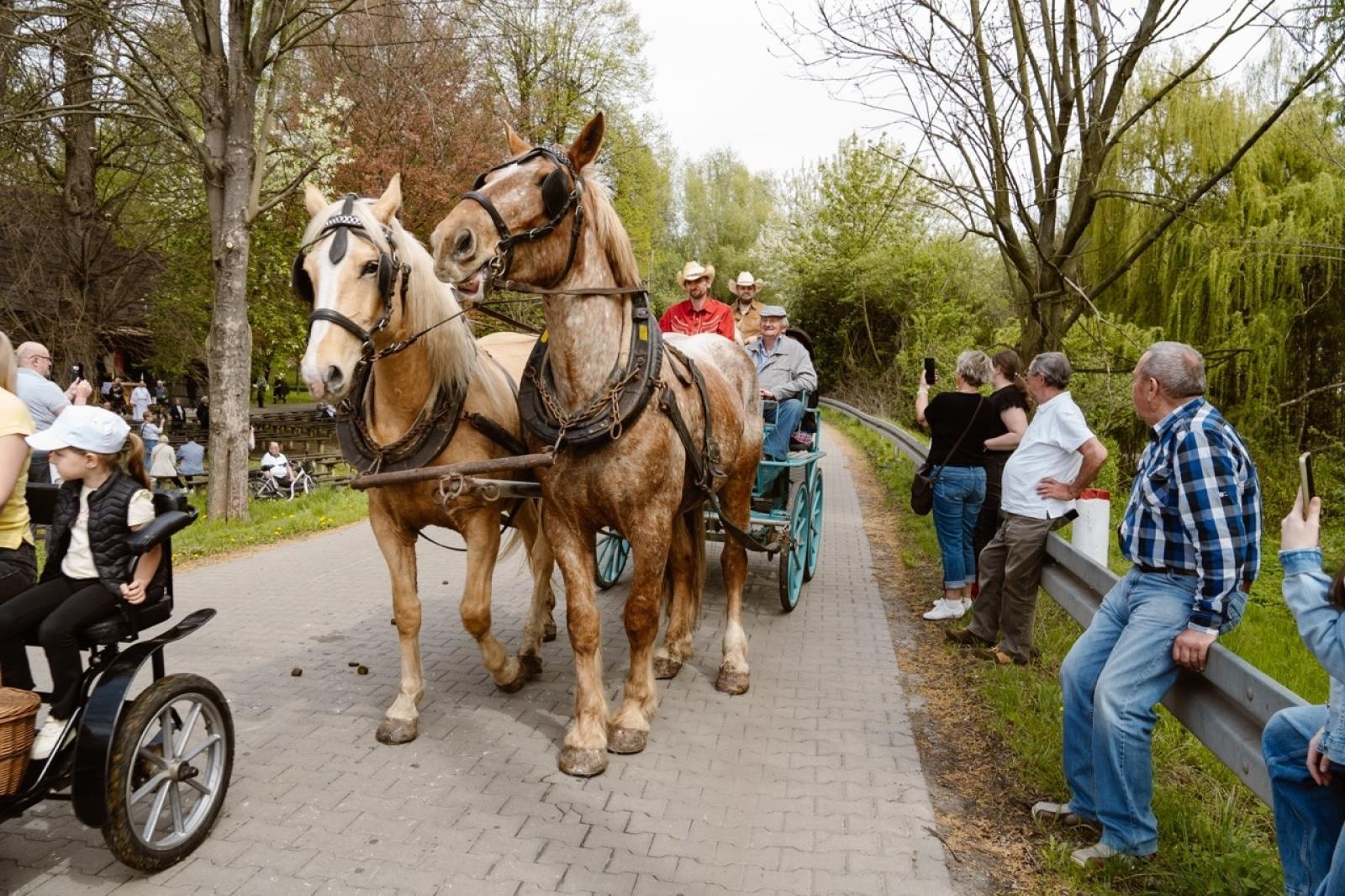 Zdjęcie w galerii na portalu naszraciborz.pl: Tradycyjna pietrowicka procesja wielkanocna na bis. Pielęgnowanie ducha i historii wiadomości z regionu