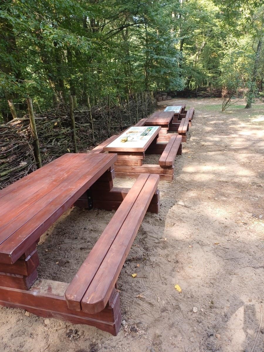 Zdjęcie w galerii na portalu naszraciborz.pl: To dzięki wam zrealizowano te inwestycje. Twoje Miasto – Twój Projekt – Twoja Decyzja wiadomości z regionu