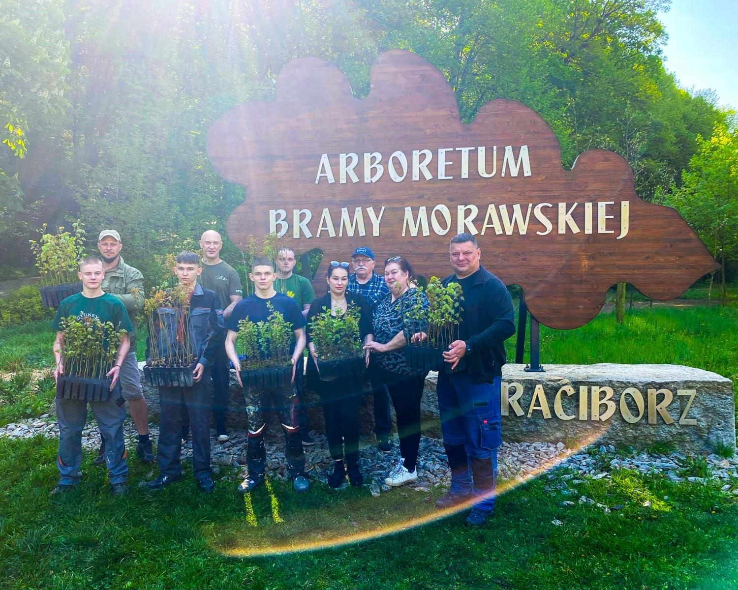 Zdjęcie w galerii na portalu naszraciborz.pl: Arboretum odmienione, czyli jeszcze więcej zieleni w naszej leśnej enklawie wiadomości z regionu