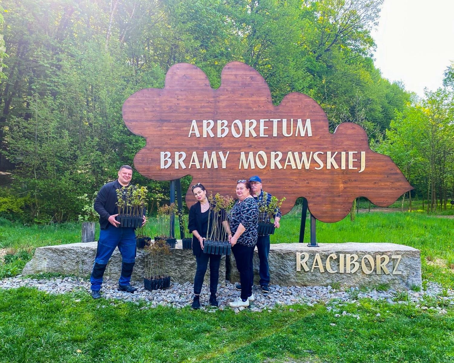 Zdjęcie w galerii na portalu naszraciborz.pl: Arboretum odmienione, czyli jeszcze więcej zieleni w naszej leśnej enklawie wiadomości z regionu