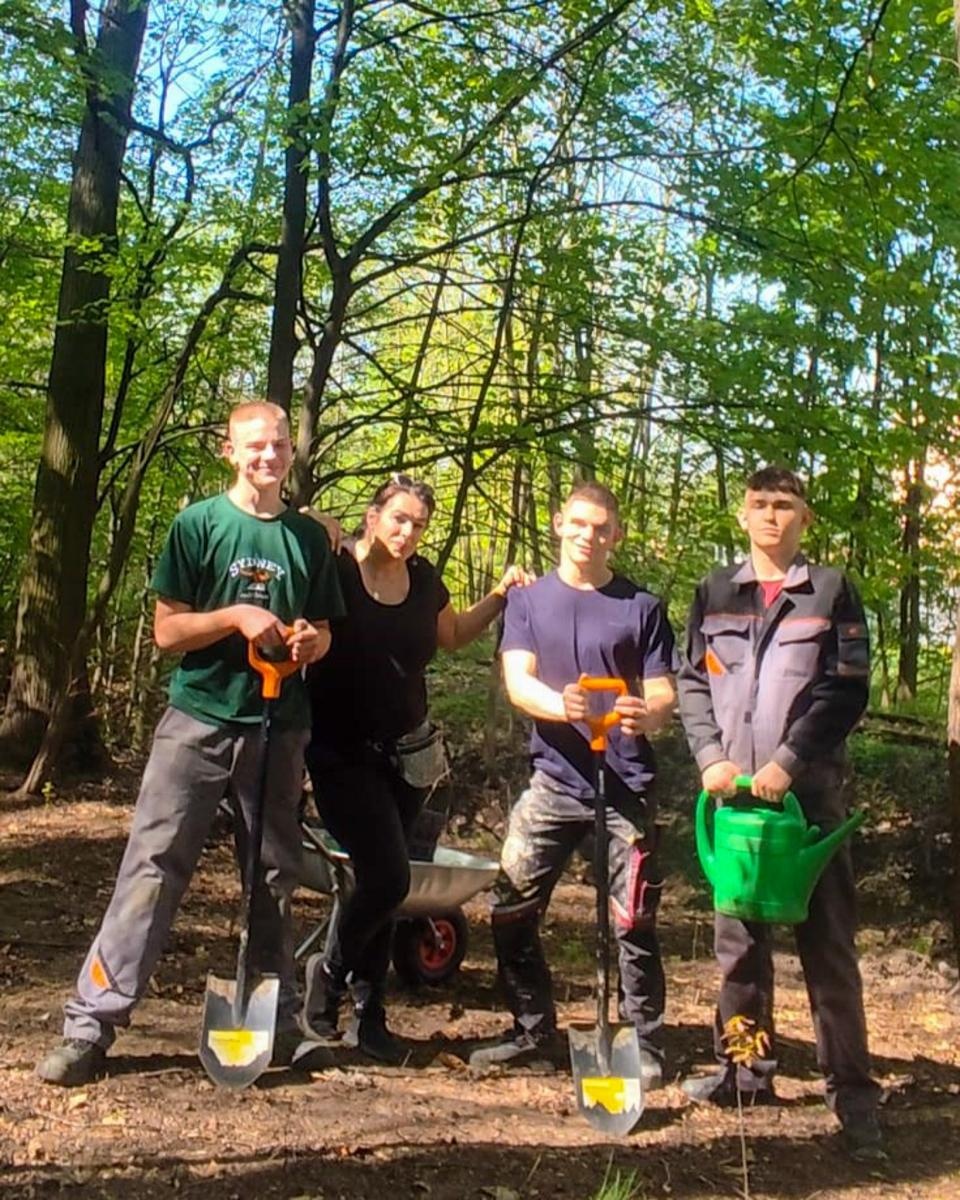 Zdjęcie w galerii na portalu naszraciborz.pl: Arboretum odmienione, czyli jeszcze więcej zieleni w naszej leśnej enklawie wiadomości z regionu