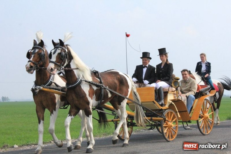 Zdjęcie w galerii na portalu naszraciborz.pl: Biskupa wsadzili do królewskiej karocy wiadomości z regionu
