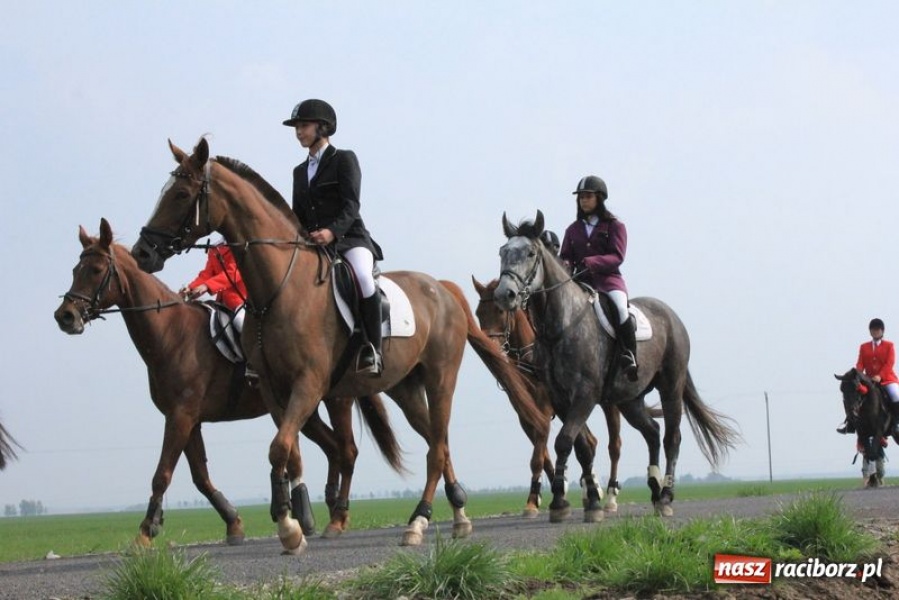 Zdjęcie w galerii na portalu naszraciborz.pl: Biskupa wsadzili do królewskiej karocy wiadomości z regionu