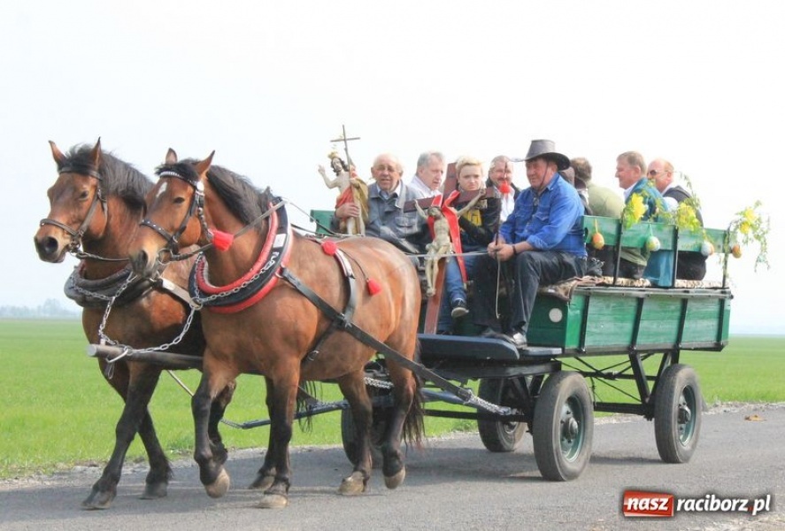 Zdjęcie w galerii na portalu naszraciborz.pl: Biskupa wsadzili do królewskiej karocy wiadomości z regionu