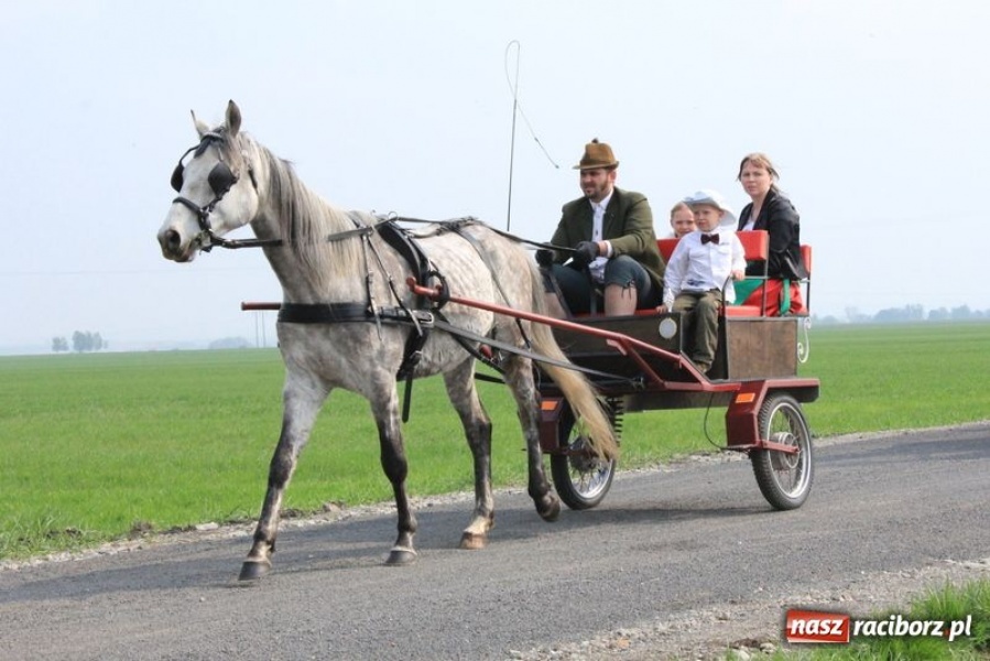 Zdjęcie w galerii na portalu naszraciborz.pl: Biskupa wsadzili do królewskiej karocy wiadomości z regionu