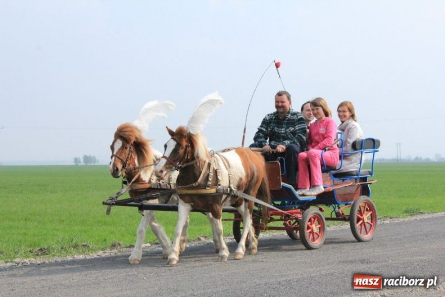 Zdjęcie w galerii na portalu naszraciborz.pl: Biskupa wsadzili do królewskiej karocy wiadomości z regionu