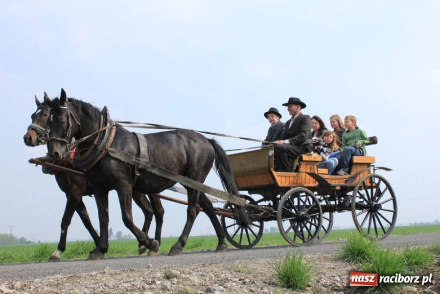 Zdjęcie w galerii na portalu naszraciborz.pl: Biskupa wsadzili do królewskiej karocy wiadomości z regionu