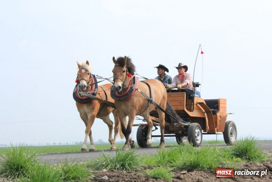 Zdjęcie w galerii na portalu naszraciborz.pl: Biskupa wsadzili do królewskiej karocy wiadomości z regionu