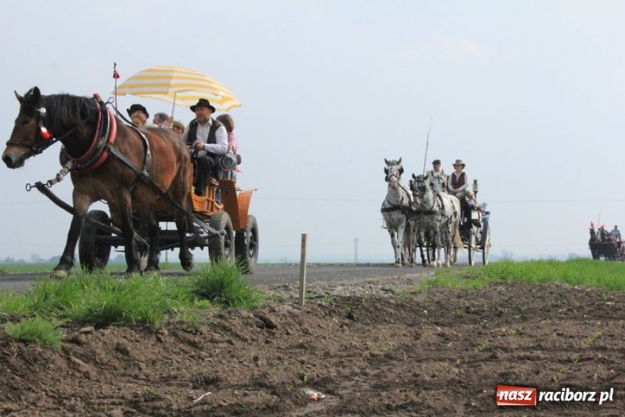 Zdjęcie w galerii na portalu naszraciborz.pl: Biskupa wsadzili do królewskiej karocy wiadomości z regionu