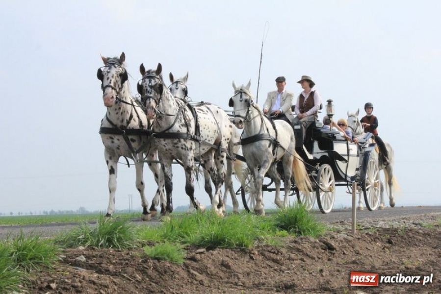 Zdjęcie w galerii na portalu naszraciborz.pl: Biskupa wsadzili do królewskiej karocy wiadomości z regionu