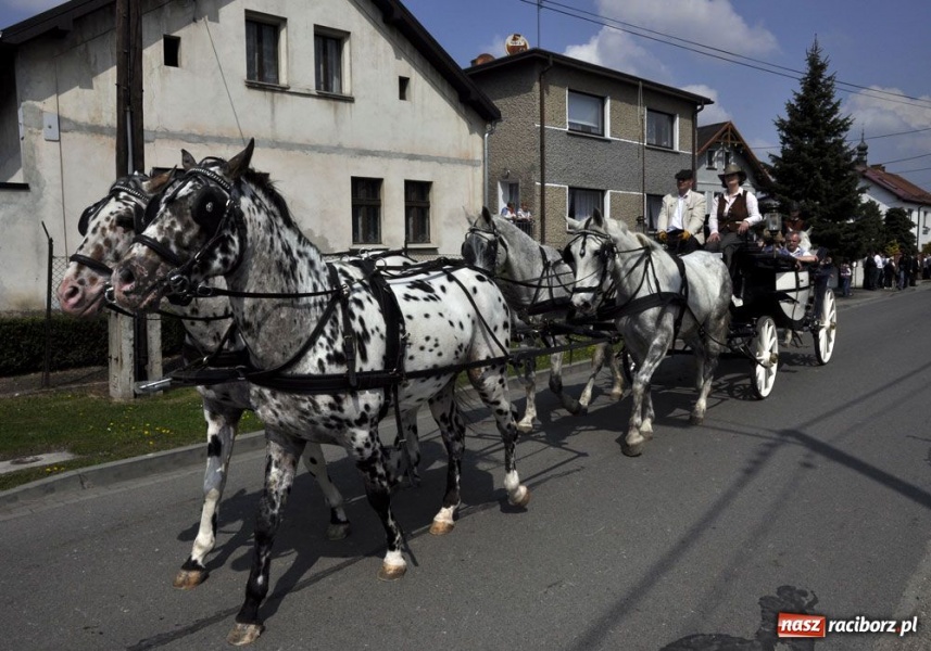 Zdjęcie w galerii na portalu naszraciborz.pl: Biskupa wsadzili do królewskiej karocy wiadomości z regionu