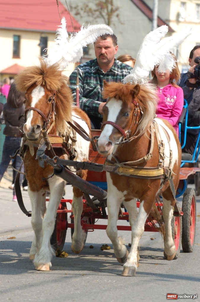 Zdjęcie w galerii na portalu naszraciborz.pl: Biskupa wsadzili do królewskiej karocy wiadomości z regionu