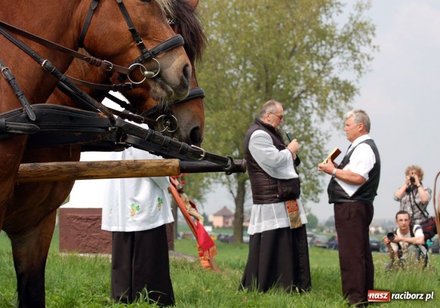Zdjęcie w galerii na portalu naszraciborz.pl: Bieńkowicki obchód pól AD 2011 wiadomości z regionu